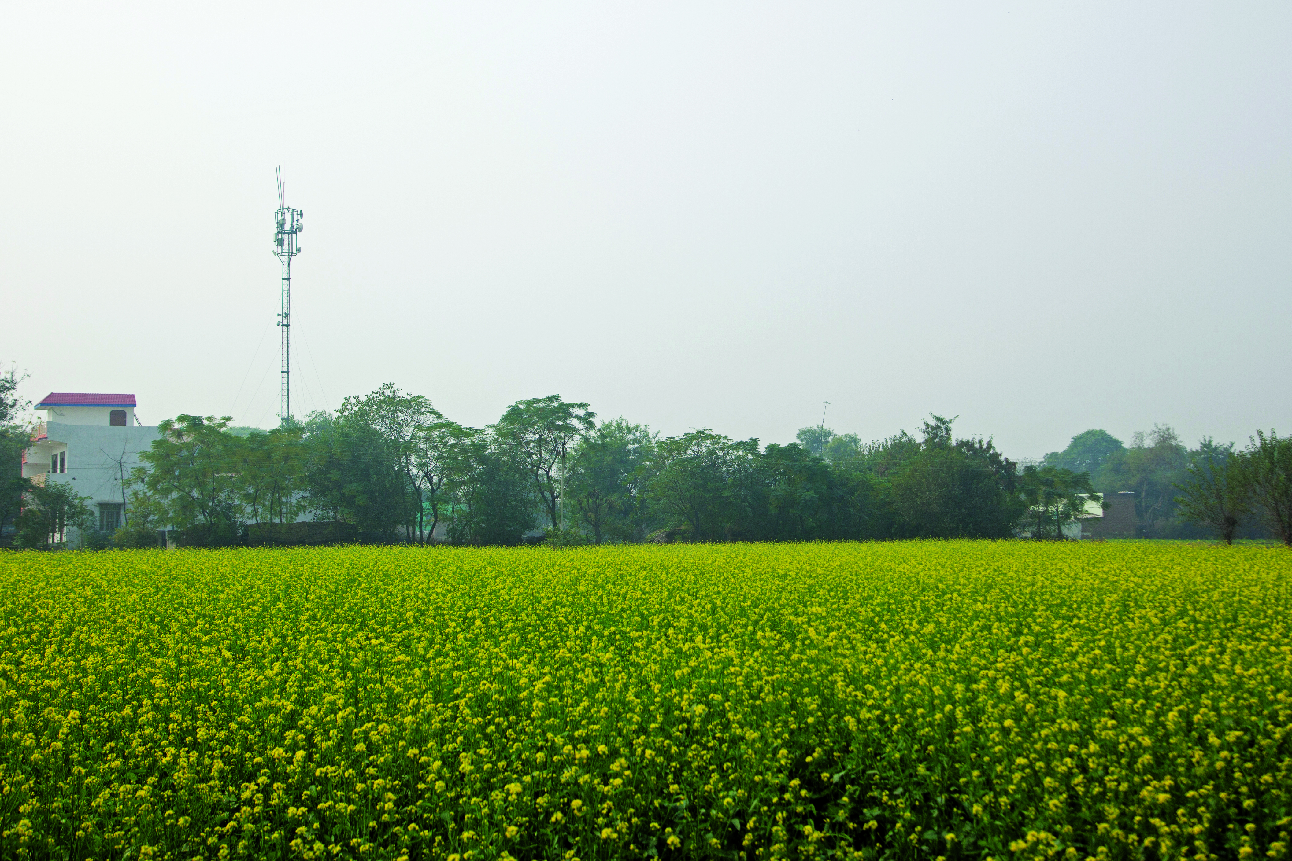 Connecting Karenda Vnl 1 World Connected